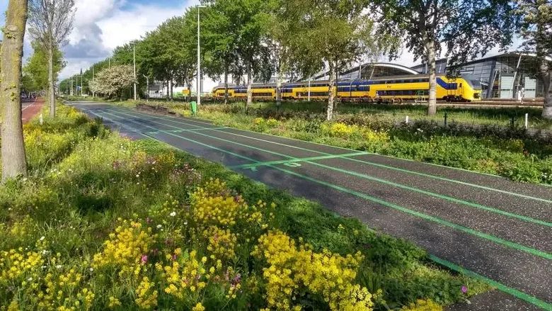 Groene Amsterdamsevaart met fietspad, bermbloemen en de spoorlijn